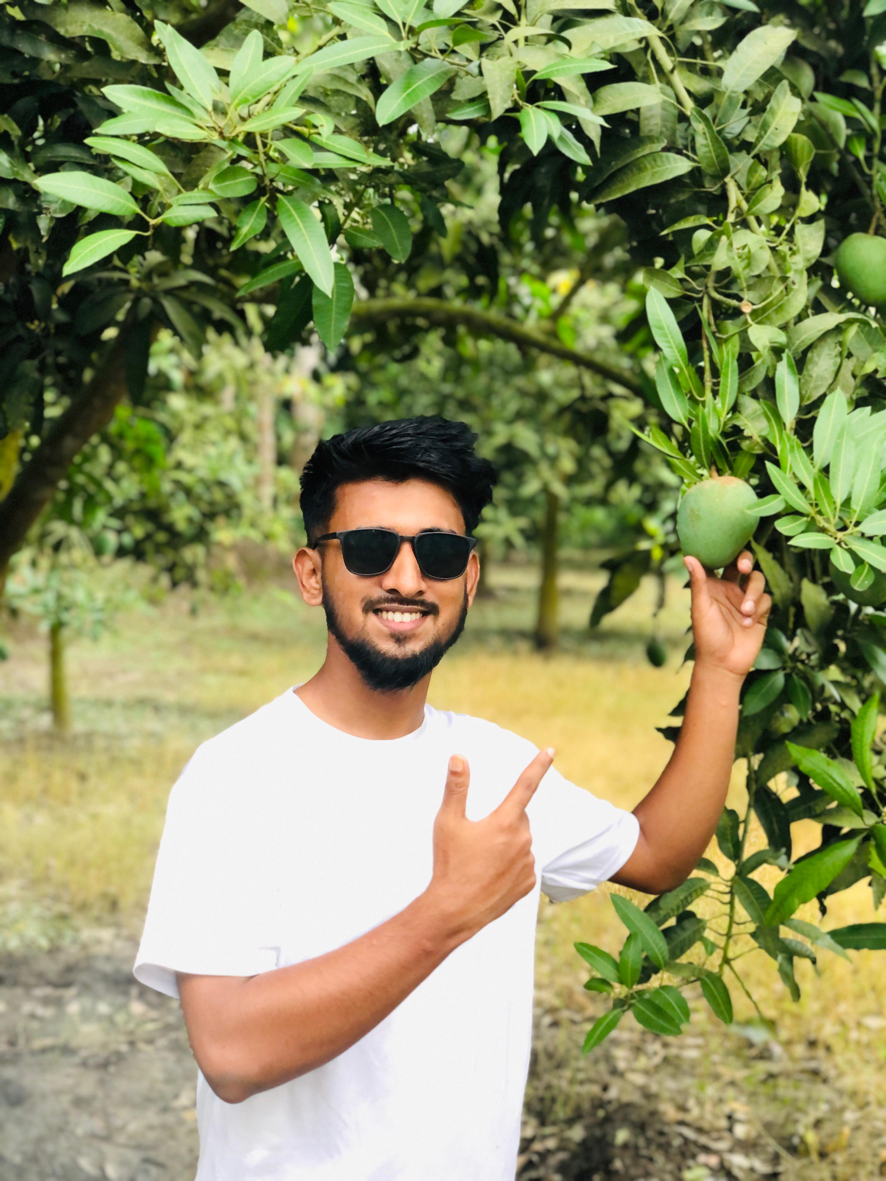 PREMIUM HIMSAGOR (MANGO)