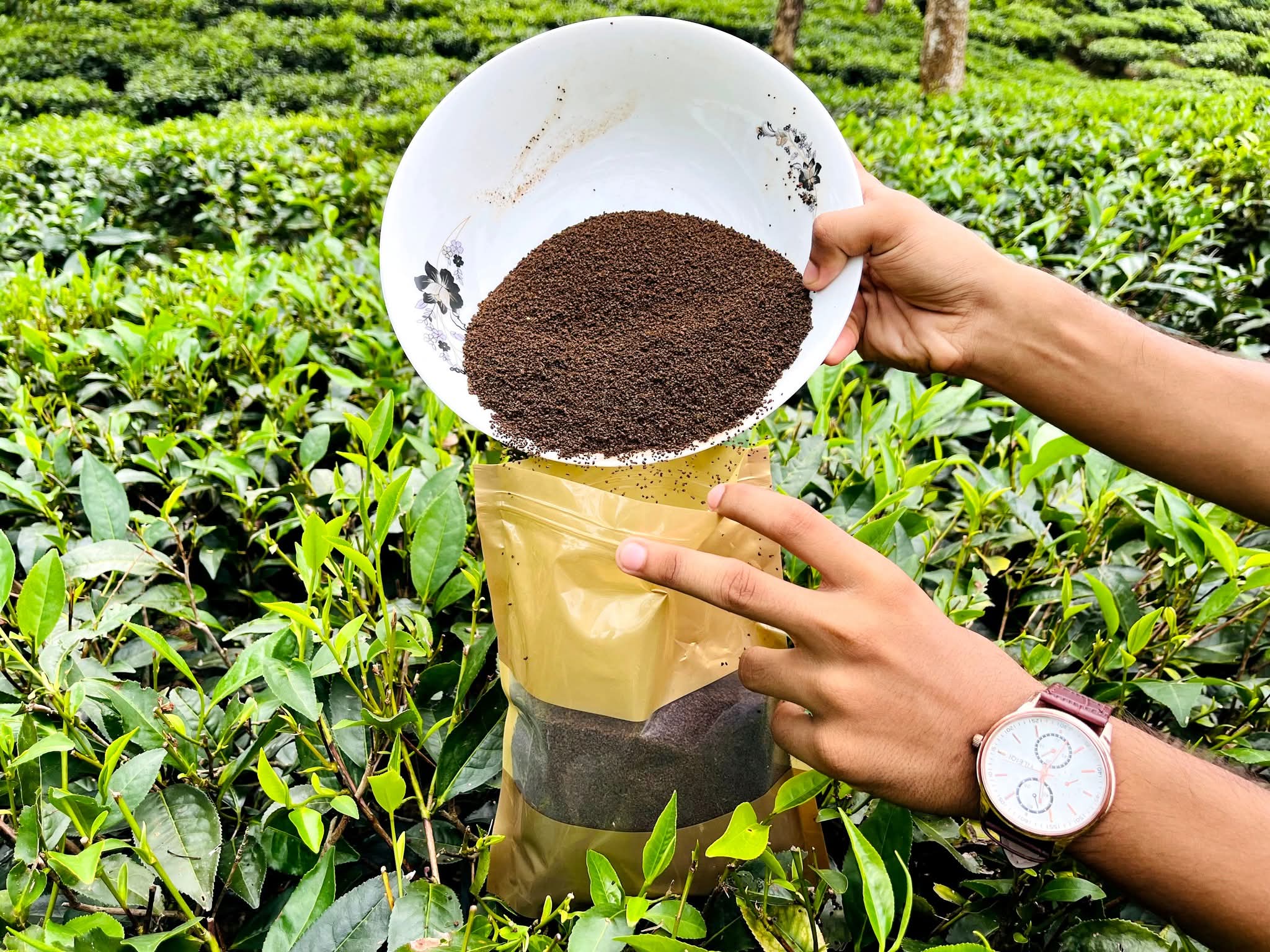 PREMIUM BLACK TEA